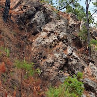 Image 10- La Pena Vein at Holly