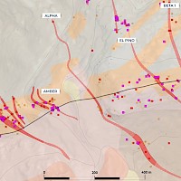 Figure 4 - Holly Project Geological Map with Au Geochemistry