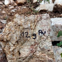 Motagua Norte- quartz vein sub-crop 12 g/t Au
