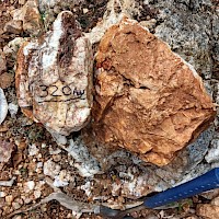 Motagua Norte- quartz vein sub-crop with 320 g/t Au