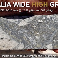Figure 10. San Pedro core photo with electrum mineralization
