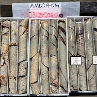 AMDD19-014 231.25-238.0 m