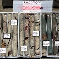 AMDD19-014 238.0-244.90 m