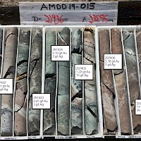 AMDD19-015 229.36-235.95 m