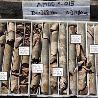 AMDD19-015 268.45-274.80 m
